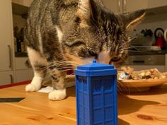 Tardis 3D Printer Model