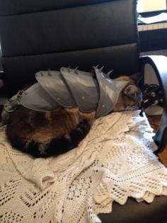 Cat Armour 3D Printer Model