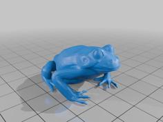 Frog 3D Printer Model