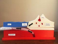 Subduction Model 3D Printer Model