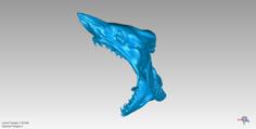 Shark Head Scan 3D Printer Model