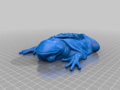 Frog’s Body In Two Parts 3D Printer Model