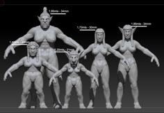 Medieval Fantasy Characters Female Base Models 3D Printer Model