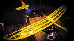 RC HLG FUSELAGE 3D Printer Model