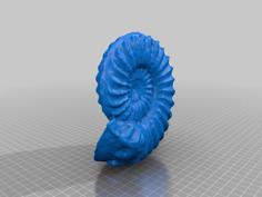 Ammonite Fossil 3D Printer Model