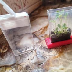 Tic Tac Terrarium 3D Printer Model