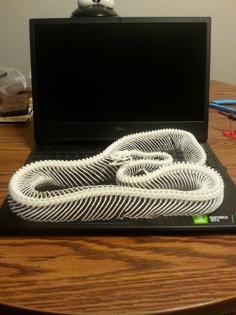 Snake Skeleton 3D Printer Model