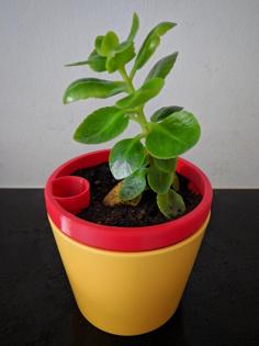 Flowerpot / Planter 3D Printer Model