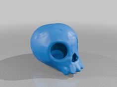 Tiny Skull 3D Printer Model