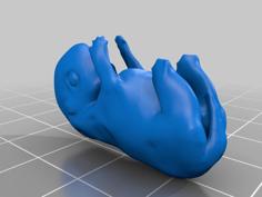 4 Week Dog Embryo 3D Printer Model