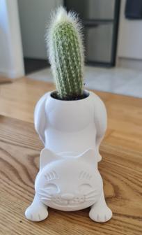 Cat Cactus Pot 3D Printer Model