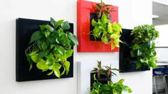 Easy Green Wall Garden 3D Printer Model