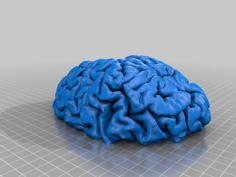 Cerebro 3D Printer Model