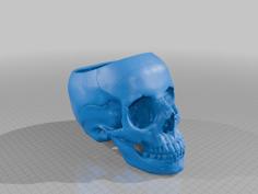 Human Skull Candy Dish 3D Printer Model