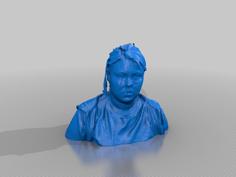 Annoyingwoman 3D Printer Model