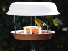 Bird Food Table 3D Printer Model