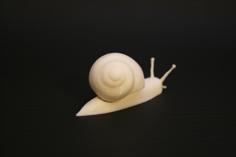 Realistic Garden Snail 3D Printer Model