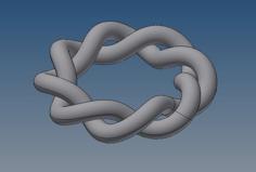 Entangled Double Spiral Ring 3D Printer Model