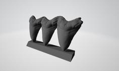 Dientes Megalodon – Megalodon Tooth 3D Printer Model