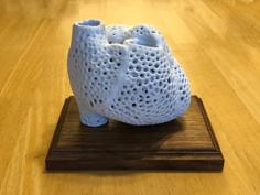 Anatomically Correct Voronoi Heart 3D Printer Model