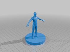 Flash Dc 3D Printer Model