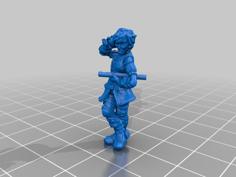 Pirates Party 3D Printer Model