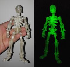 Skeleton – TinkerCad Kit REMIX (each Parts In Separated File) 3D Printer Model