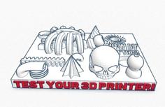 Test Your 3D Printer V2! 3D Printer Model