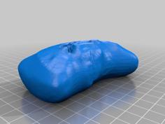 Ashley Soap 3D Printer Model