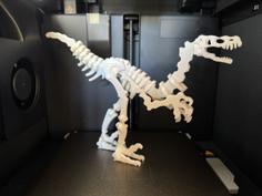 Dinosaur Skeleton Complete 3D Printer Model