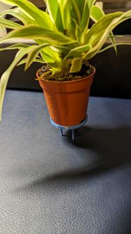 Plant Raise / Small Table 3D Printer Model