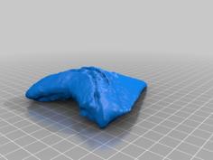 Megalodon Tooth 3D Printer Model