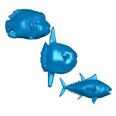 Fish (Set 1) Refrigerator / Whiteboard Magnets 3D Printer Model