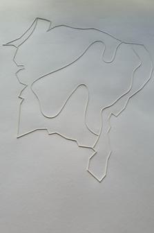 Tactile Image: Brazil’s Northeast Region Climate Map 3D Printer Model