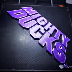 Mighty Ducks Logo 3D Printer Model