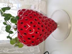 A Plate For A Strawberry Pot 3D Printer Model