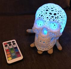 Skull In Hand Light 3D Printer Model