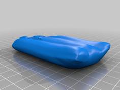 Rust Sleeping Bag (High Poly Count) 3D Printer Model