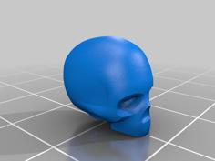 Skull Armature With Separate Jaw 3D Printer Model