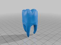 Tooth Mollar Earring Hanger 3D Printer Model