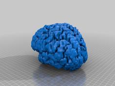 My Brain 3D Printer Model