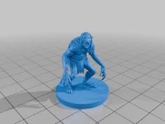 Shellycoat 3D Printer Model