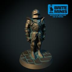 Suit Of Armor (supportless, FDM-friendly) 3D Printer Model