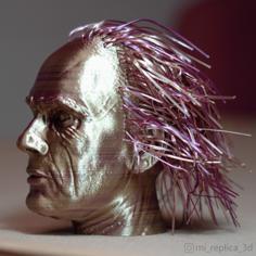 Back To The String: Doc Brown 3D Printer Model