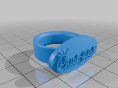 CFA Ring 3D Printer Model