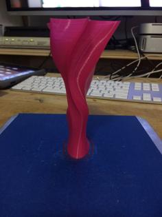 Oddly Cool Looking Vase 3D Printer Model