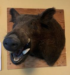 Hamlet The Happy Boar 3D Printer Model