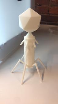 Bacteriophage 3D Printer Model