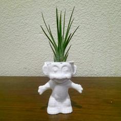 Air Plant Troll 3D Printer Model