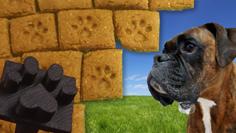 Dog Treat Paw Stamp 3D Printer Model